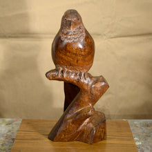 Load image into Gallery viewer, Thomas Suby with Ramon D.C., &quot;Elegant Trogan&quot;
