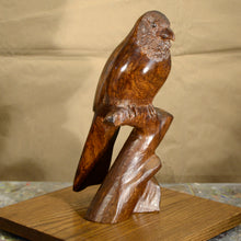 Load image into Gallery viewer, Thomas Suby with Ramon D.C., &quot;Elegant Trogan&quot;
