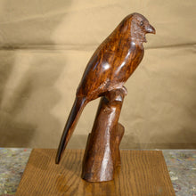 Load image into Gallery viewer, Thomas Suby with Ramon D.C., &quot;Elegant Trogan&quot;
