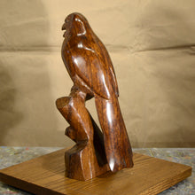 Load image into Gallery viewer, Thomas Suby with Ramon D.C., &quot;Elegant Trogan&quot;
