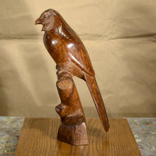 Load image into Gallery viewer, Thomas Suby with Ramon D.C., &quot;Elegant Trogan&quot;
