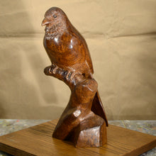 Load image into Gallery viewer, Thomas Suby with Ramon D.C., &quot;Elegant Trogan&quot;
