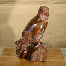 Load image into Gallery viewer, Thomas Suby with Ramon D.C., &quot;American Kestrel&quot;
