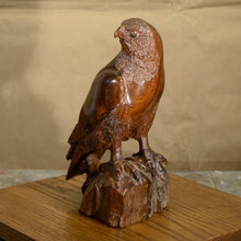 Load image into Gallery viewer, Thomas Suby with Ramon D.C., &quot;American Kestrel&quot;
