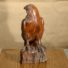 Load image into Gallery viewer, Thomas Suby with Ramon D.C., &quot;American Kestrel&quot;
