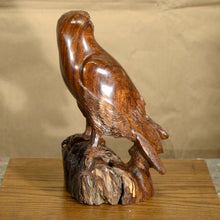 Load image into Gallery viewer, Thomas Suby with Ramon D.C., &quot;American Kestrel&quot;
