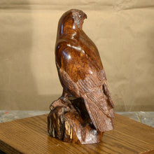 Load image into Gallery viewer, Thomas Suby with Ramon D.C., &quot;American Kestrel&quot;
