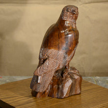 Load image into Gallery viewer, Thomas Suby with Ramon D.C., &quot;American Kestrel&quot;
