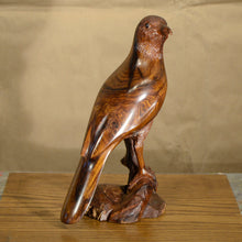 Load image into Gallery viewer, Thomas Suby with Ramon D.C., &quot;Curved Billed Thresher&quot;
