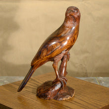 Load image into Gallery viewer, Thomas Suby with Ramon D.C., &quot;Curved Billed Thresher&quot;

