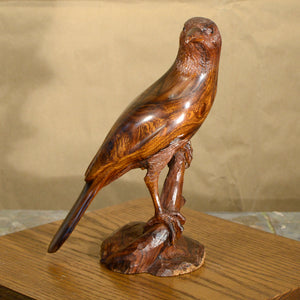 Thomas Suby with Ramon D.C., "Curved Billed Thresher"