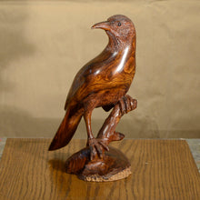 Load image into Gallery viewer, Thomas Suby with Ramon D.C., &quot;Curved Billed Thresher&quot;
