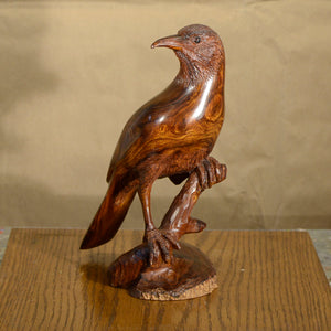 Thomas Suby with Ramon D.C., "Curved Billed Thresher"