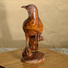 Load image into Gallery viewer, Thomas Suby with Ramon D.C., &quot;Curved Billed Thresher&quot;
