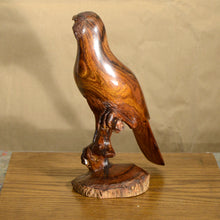 Load image into Gallery viewer, Thomas Suby with Ramon D.C., &quot;Curved Billed Thresher&quot;
