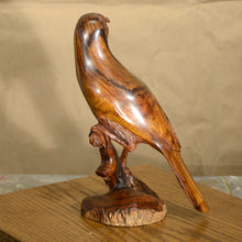 Load image into Gallery viewer, Thomas Suby with Ramon D.C., &quot;Curved Billed Thresher&quot;
