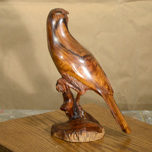 Thomas Suby with Ramon D.C., "Curved Billed Thresher"