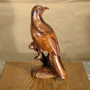 Thomas Suby with Ramon D.C., "Curved Billed Thresher"