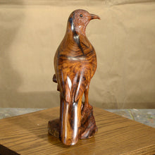 Load image into Gallery viewer, Thomas Suby with Ramon D.C., &quot;Curved Billed Thresher&quot;
