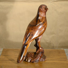 Load image into Gallery viewer, Thomas Suby with Ramon D.C., &quot;Curved Billed Thresher&quot;
