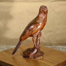 Load image into Gallery viewer, Thomas Suby with Ramon D.C., &quot;Curved Billed Thresher&quot;
