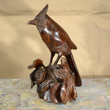 Load image into Gallery viewer, Thomas Suby with Ramon D.C., &quot;Steller&#39;s Jay&quot;
