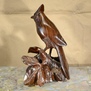 Thomas Suby with Ramon D.C., "Steller's Jay"