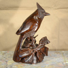 Load image into Gallery viewer, Thomas Suby with Ramon D.C., &quot;Steller&#39;s Jay&quot;
