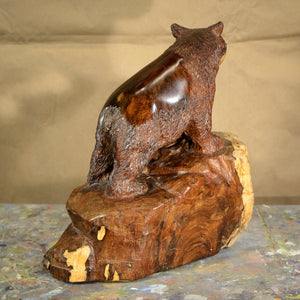 Thomas Suby with Ramon D.C., "Black Bear with Hollow Tree"