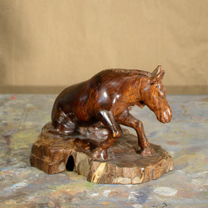 Thomas Suby with Ramon D.C., "Horse Rising"