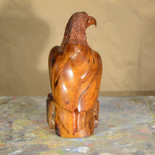 Load image into Gallery viewer, Thomas Suby with Ramon D.C., &quot;Eagle&quot;
