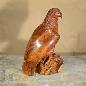 Thomas Suby with Ramon D.C., "Eagle"
