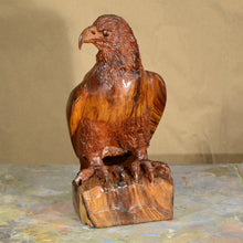 Load image into Gallery viewer, Thomas Suby with Ramon D.C., &quot;Eagle&quot;
