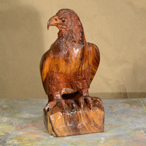Thomas Suby with Ramon D.C., "Eagle"