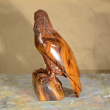 Load image into Gallery viewer, Thomas Suby with Ramon D.C., &quot;Eagle&quot;
