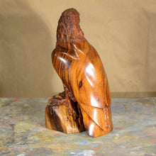 Load image into Gallery viewer, Thomas Suby with Ramon D.C., &quot;Eagle&quot;
