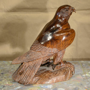 Thomas Suby with Ramon D.C., "Peregrine Falcon"
