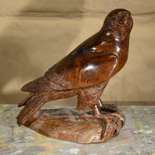 Load image into Gallery viewer, Thomas Suby with Ramon D.C., &quot;Peregrine Falcon&quot;
