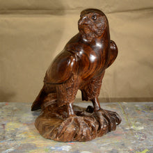 Load image into Gallery viewer, Thomas Suby with Ramon D.C., &quot;Peregrine Falcon&quot;
