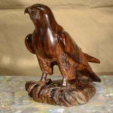 Load image into Gallery viewer, Thomas Suby with Ramon D.C., &quot;Peregrine Falcon&quot;
