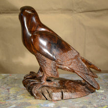Load image into Gallery viewer, Thomas Suby with Ramon D.C., &quot;Peregrine Falcon&quot;
