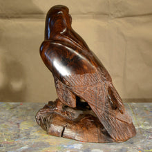 Load image into Gallery viewer, Thomas Suby with Ramon D.C., &quot;Peregrine Falcon&quot;
