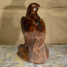 Load image into Gallery viewer, Thomas Suby with Ramon D.C., &quot;Peregrine Falcon&quot;
