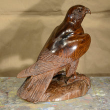 Load image into Gallery viewer, Thomas Suby with Ramon D.C., &quot;Peregrine Falcon&quot;
