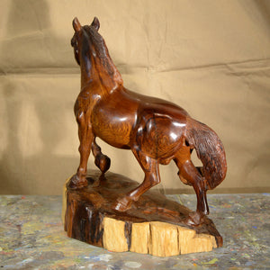Thomas Suby with Ramon D.C., "Draft Horse"