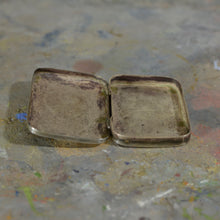Load image into Gallery viewer, Tortoise Silver box.
