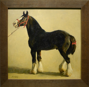 Richard Murray "Black Shire Draft"