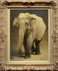 Richard Murray "Asian Elephant"