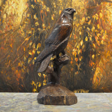 Load image into Gallery viewer, Thomas Suby with Ramon D.C., &quot;Kestrel&quot;
