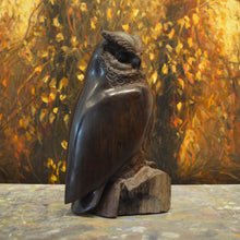 Load image into Gallery viewer, Thomas Suby with Ramon D.C., &quot;Medium Owl&quot;
